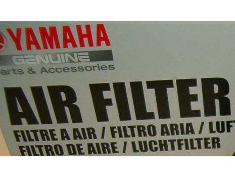 Vzduchový filtr TDM900